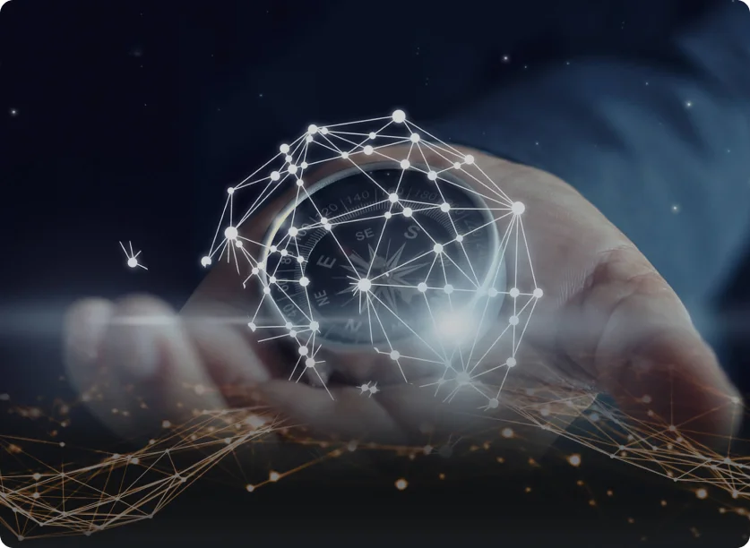 Network migration visualization